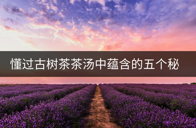 懂過古樹茶茶湯中蘊(yùn)含的五個(gè)秘密