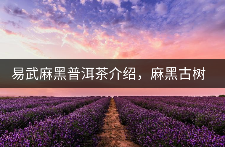 易武麻黑普洱茶介紹,麻黑古樹茶口感特點 易武麻黑普洱茶介紹,麻黑古樹茶口感特點