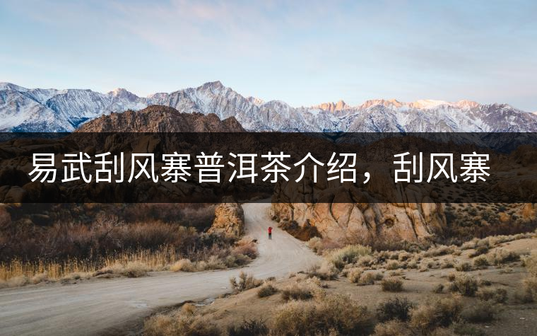 易武刮風寨普洱茶介紹,刮風寨古樹茶口感特點 易武刮風寨普洱茶介紹,刮風寨古樹茶口感特點