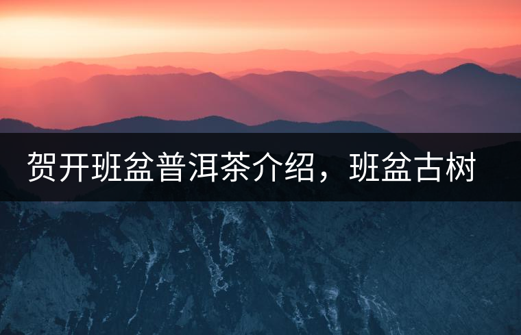 賀開班盆普洱茶介紹,班盆古樹茶口感特點 賀開班盆普洱茶介紹,班盆古樹茶口感特點