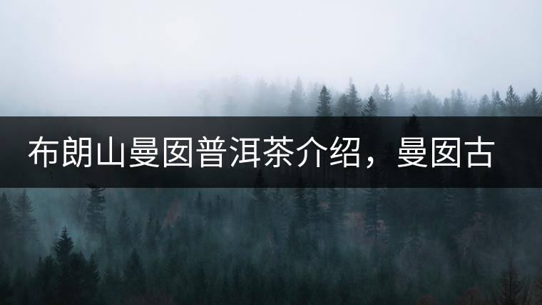 布朗山曼囡普洱茶介紹,曼囡古樹茶口感特點 布朗山曼囡普洱茶介紹,曼囡古樹茶口感特點