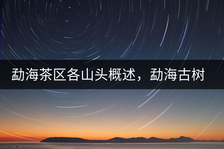 勐海茶區(qū)各山頭概述，勐海古樹(shù)茶口感特點(diǎn)