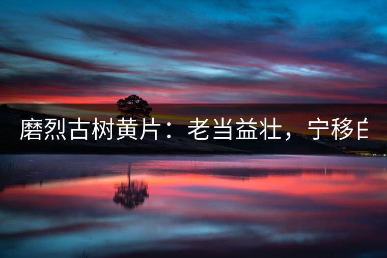 磨烈古樹黃片：老當益壯，寧移白首之心！