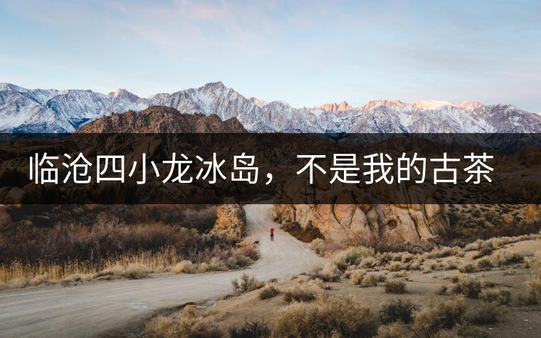臨滄四小龍冰島，不是我的古茶夢(mèng)