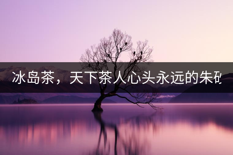 冰島茶，天下茶人心頭永遠(yuǎn)的朱砂痣！