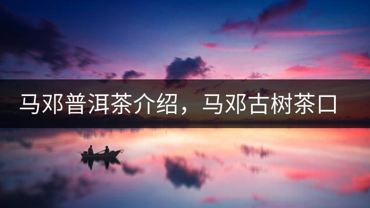 馬鄧普洱茶介紹，馬鄧古樹茶口感特點