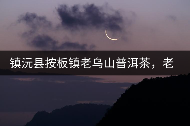 鎮沅縣按板鎮老烏山普洱茶，老烏山古樹茶口感特點