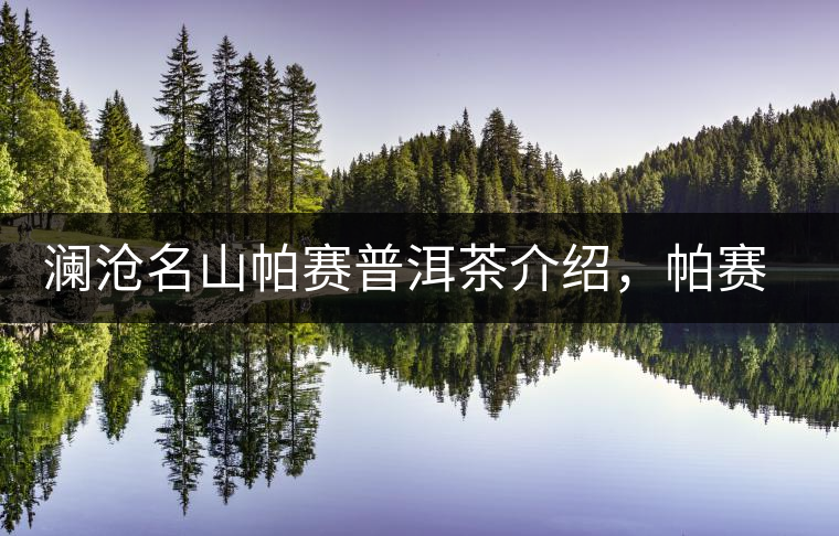 瀾滄名山帕賽普洱茶介紹,帕賽古樹茶口感特點 瀾滄名山帕賽普洱茶介紹,帕賽古樹茶口感特點