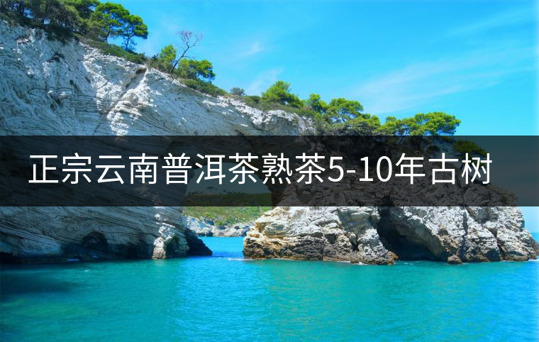 正宗云南普洱茶熟茶5-10年古樹茶餅濃香型陳年茶葉特級357g禮盒裝 正宗云南普洱茶熟茶5-10年古樹茶餅濃香型陳年茶葉特級357g禮盒裝