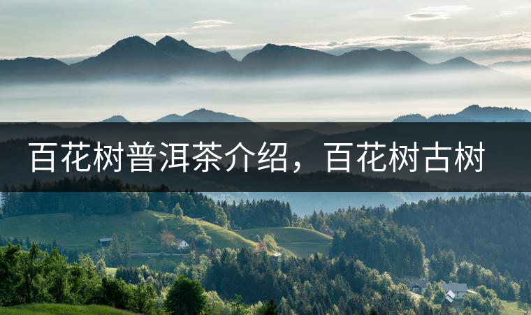 百花樹(shù)普洱茶介紹,百花樹(shù)古樹(shù)茶口感特點(diǎn) 百花樹(shù)普洱茶介紹,百花樹(shù)古樹(shù)茶口感特點(diǎn)