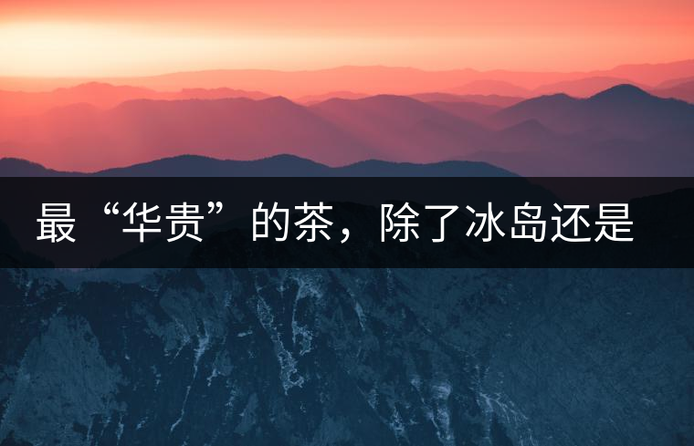 最“華貴”的茶,除了冰島還是冰島 最“華貴”的茶,除了冰島還是冰島