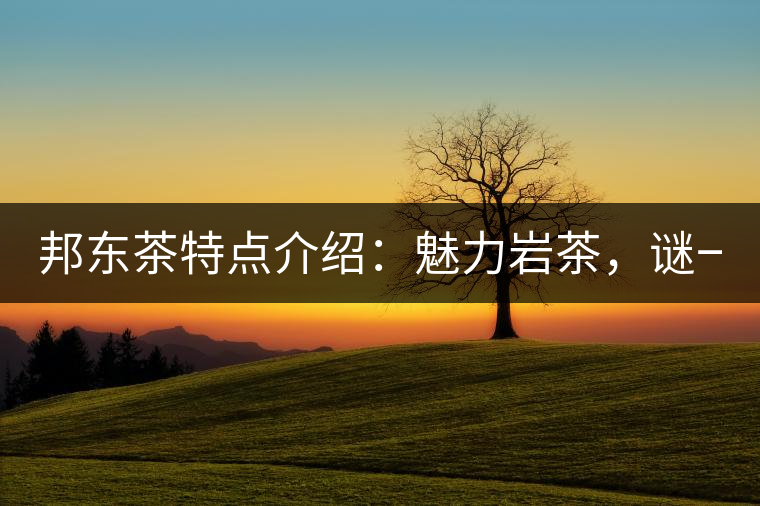 邦東茶特點介紹:魅力巖茶,謎一樣的邦東! 邦東茶特點介紹:魅力巖茶,謎一樣的邦東!