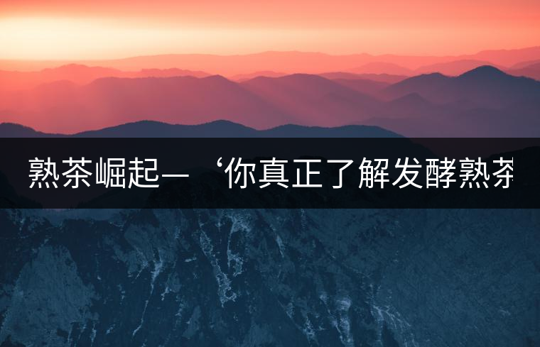 熟茶崛起—‘你真正了解發(fā)酵熟茶？’