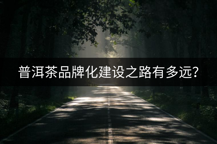 普洱茶品牌化建設之路有多遠? 普洱茶品牌化建設之路有多遠?