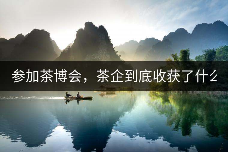 參加茶博會(huì)，茶企到底收獲了什么？