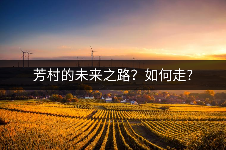 芳村的未來之路?如何走? 芳村的未來之路?如何走?