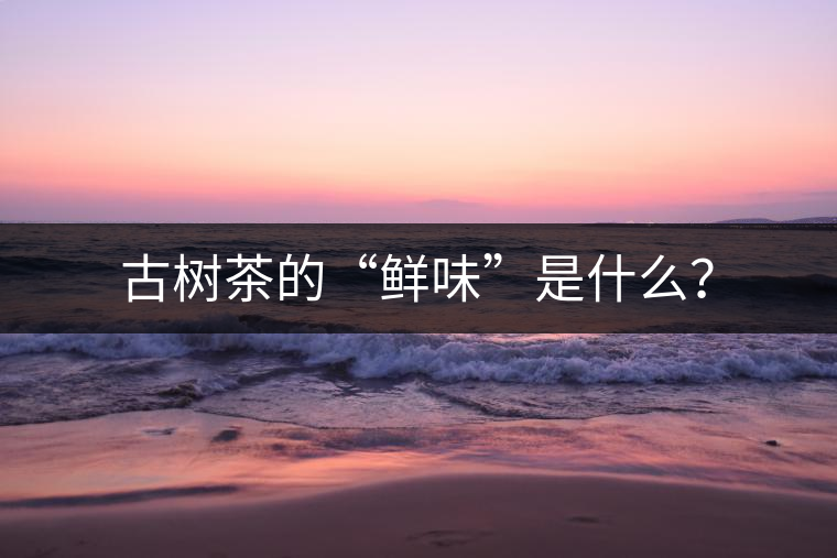 古樹茶的“鮮味”是什么？