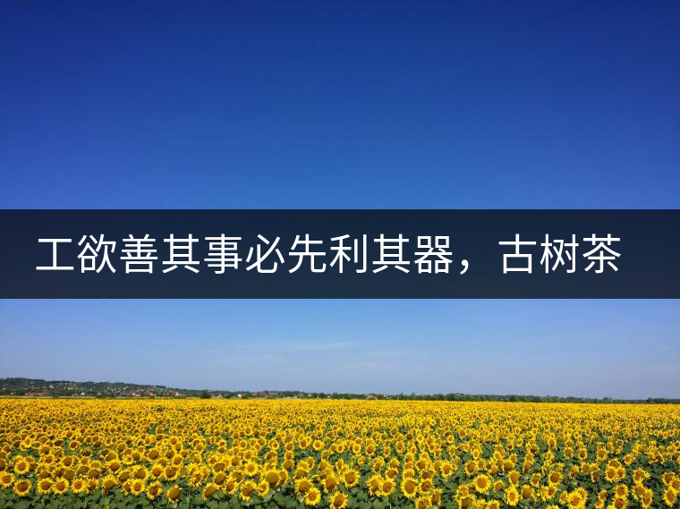 工欲善其事必先利其器，古樹茶用什么茶器最好？