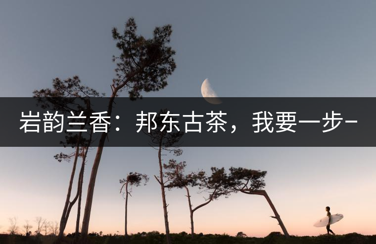 巖韻蘭香：邦東古茶，我要一步一步往上爬！