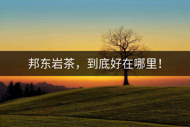 邦東巖茶，到底好在哪里！