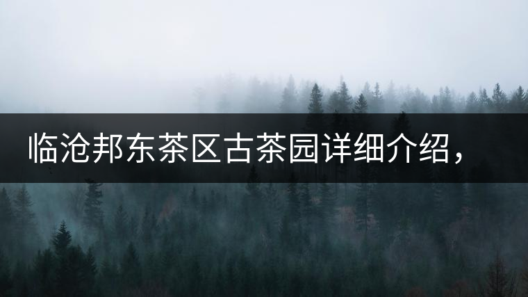 臨滄邦東茶區古茶園詳細介紹，邦東古樹茶特點