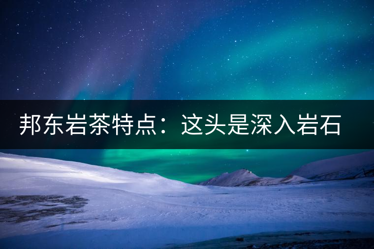 邦東巖茶特點:這頭是深入巖石的根,那頭是臨風飄香的古韻 邦東巖茶特點:這頭是深入巖石的根,那頭是臨風飄香的古韻