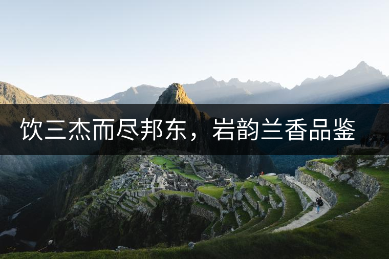 飲三杰而盡邦東,巖韻蘭香品鑒:生于山石上,韻味正當(dāng) 飲三杰而盡邦東,巖韻蘭香品鑒:生于山石上,韻味正當(dāng)