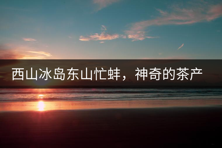 西山冰島東山忙蚌，神奇的茶產(chǎn)區(qū)勐庫(kù)