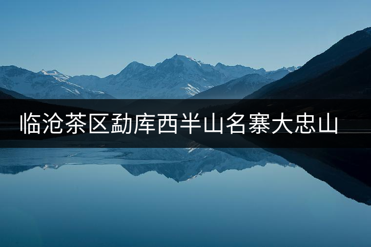臨滄茶區勐庫西半山名寨大忠山普洱茶介紹 臨滄茶區勐庫西半山名寨大忠山普洱茶介紹