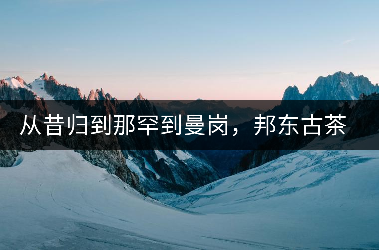 從昔歸到那罕到曼崗，邦東古茶藏著一條規律！