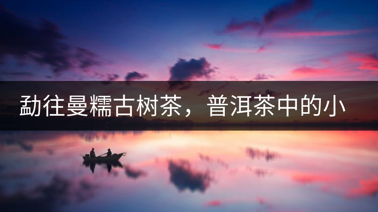 勐往曼糯古樹茶,普洱茶中的小班章 勐往曼糯古樹茶,普洱茶中的小班章