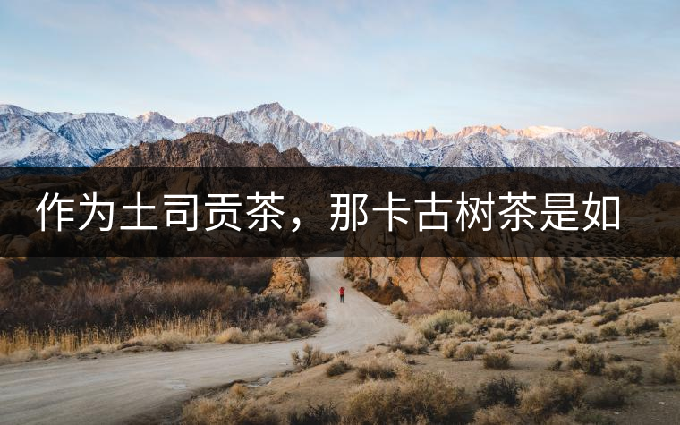 作為土司貢茶,那卡古樹茶是如何在眾多茶中脫穎而出的 作為土司貢茶,那卡古樹茶是如何在眾多茶中脫穎而出的