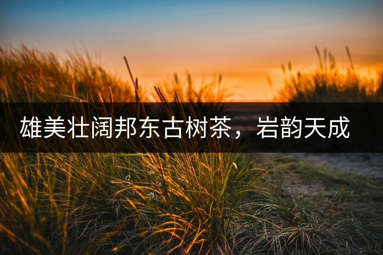 雄美壯闊邦東古樹茶,巖韻天成甘香鮮靈 雄美壯闊邦東古樹茶,巖韻天成甘香鮮靈