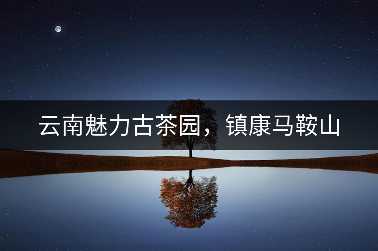 云南魅力古茶園，鎮康馬鞍山