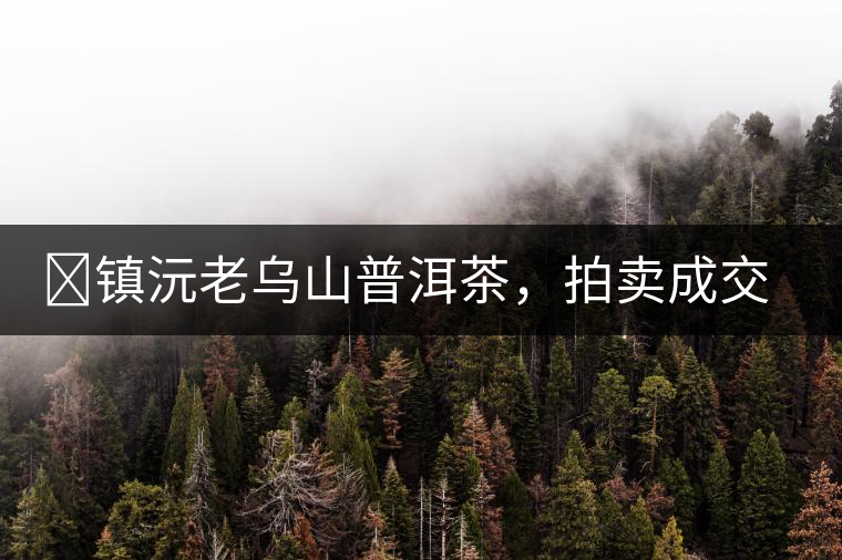 ?鎮沅老烏山普洱茶,拍賣成交價再創新高 ?鎮沅老烏山普洱茶,拍賣成交價再創新高