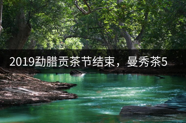 2019勐臘貢茶節結束，曼秀茶5公斤107萬奪得金獎