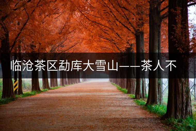 臨滄茶區勐庫大雪山——茶人不可不去的地方 臨滄茶區勐庫大雪山——茶人不可不去的地方