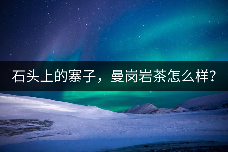 石頭上的寨子，曼崗巖茶怎么樣？