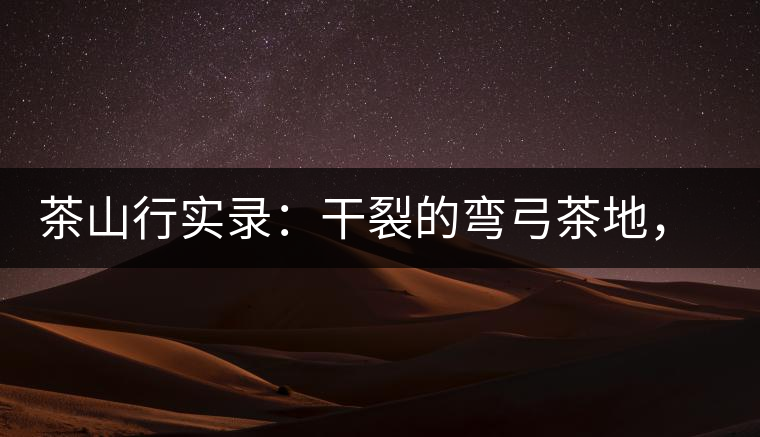 茶山行實(shí)錄:干裂的彎弓茶地,干旱減產(chǎn)已成定局 茶山行實(shí)錄:干裂的彎弓茶地,干旱減產(chǎn)已成定局