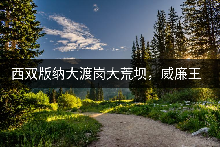 西雙版納大渡崗大荒壩,威廉王子曾經(jīng)到過的古樹茶山 西雙版納大渡崗大荒壩,威廉王子曾經(jīng)到過的古樹茶山