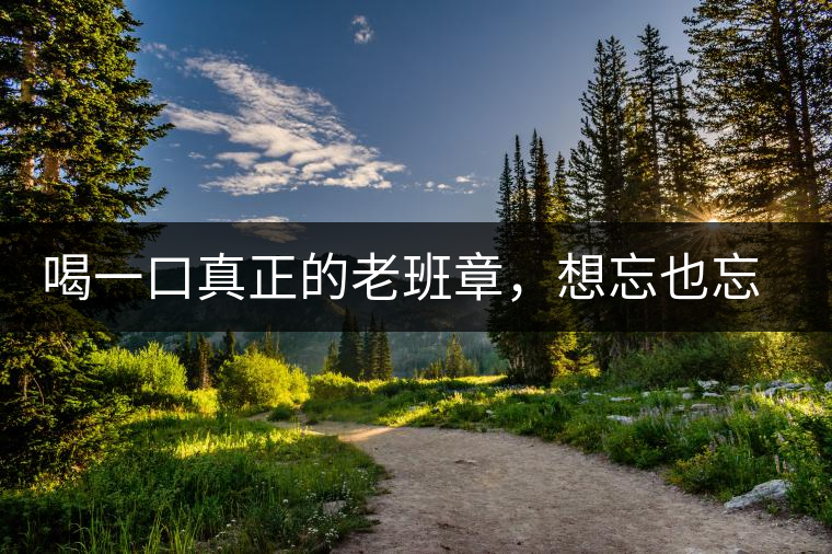 喝一口真正的老班章,想忘也忘不了的味道 喝一口真正的老班章,想忘也忘不了的味道