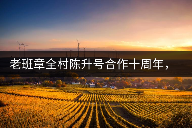 老班章全村陳升號合作十周年，贈送千兩百家茶