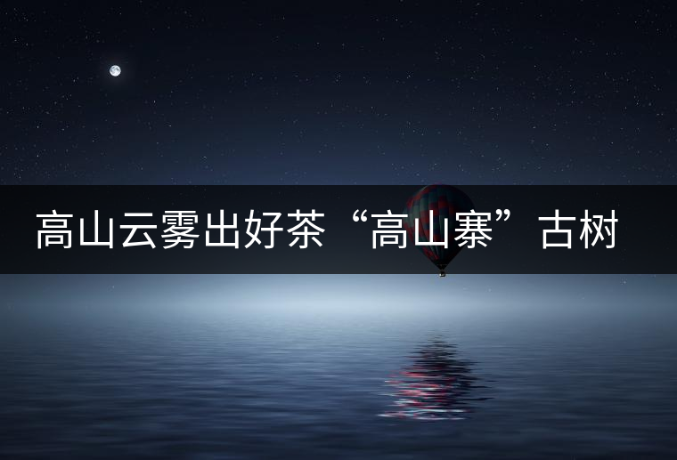 高山云霧出好茶“高山寨”古樹茶高海拔的獨特品質 高山云霧出好茶“高山寨”古樹茶高海拔的獨特品質