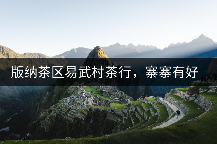 版納茶區易武村茶行，寨寨有好茶處處古茶香