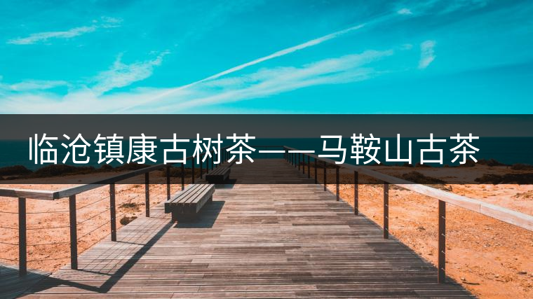 臨滄鎮康古樹茶——馬鞍山古茶園 臨滄鎮康古樹茶——馬鞍山古茶園