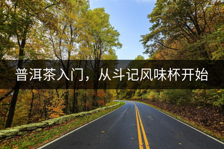 普洱茶入門,從斗記風味杯開始 普洱茶入門,從斗記風味杯開始