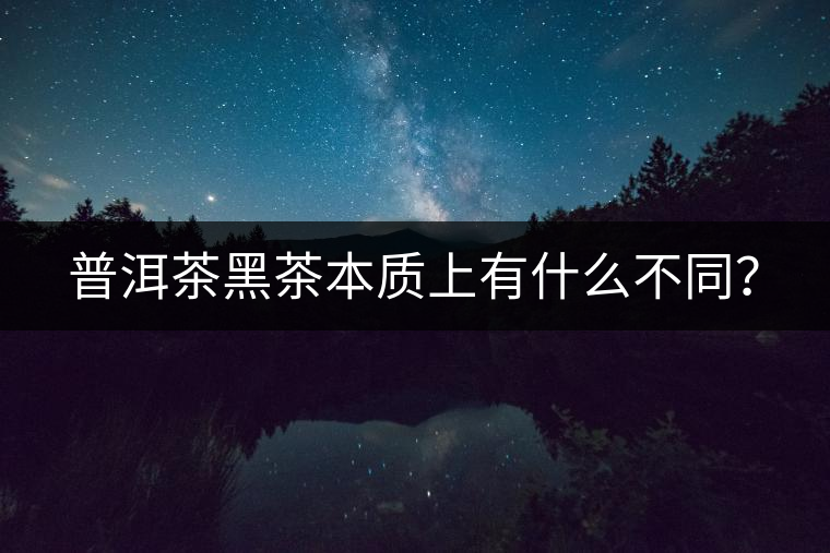 普洱茶黑茶本質上有什么不同？