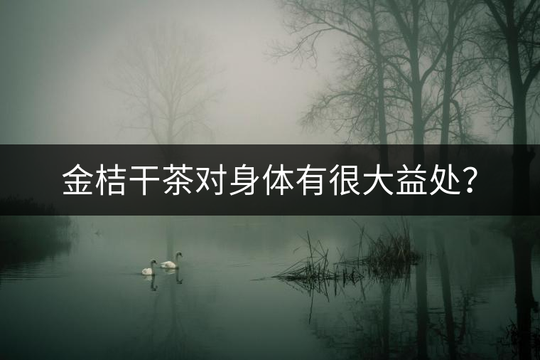 金桔干茶對身體有很大益處？