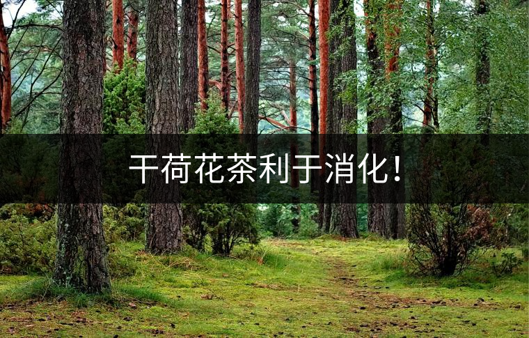 干荷花茶利于消化! 干荷花茶利于消化!