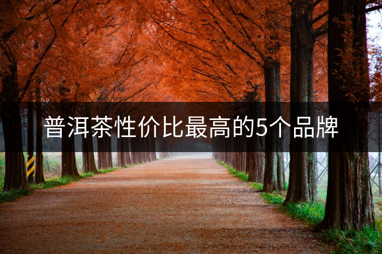 普洱茶性價比最高的5個品牌